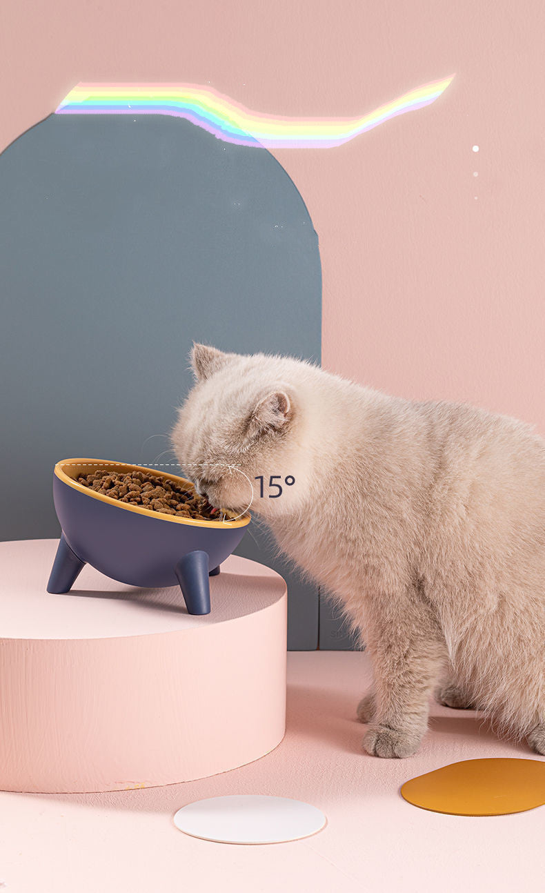 Pet Food Bowl