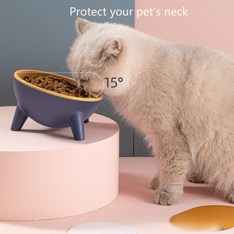 Pet Food Bowl