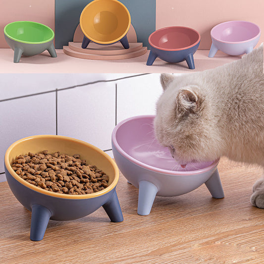 Pet Food Bowl