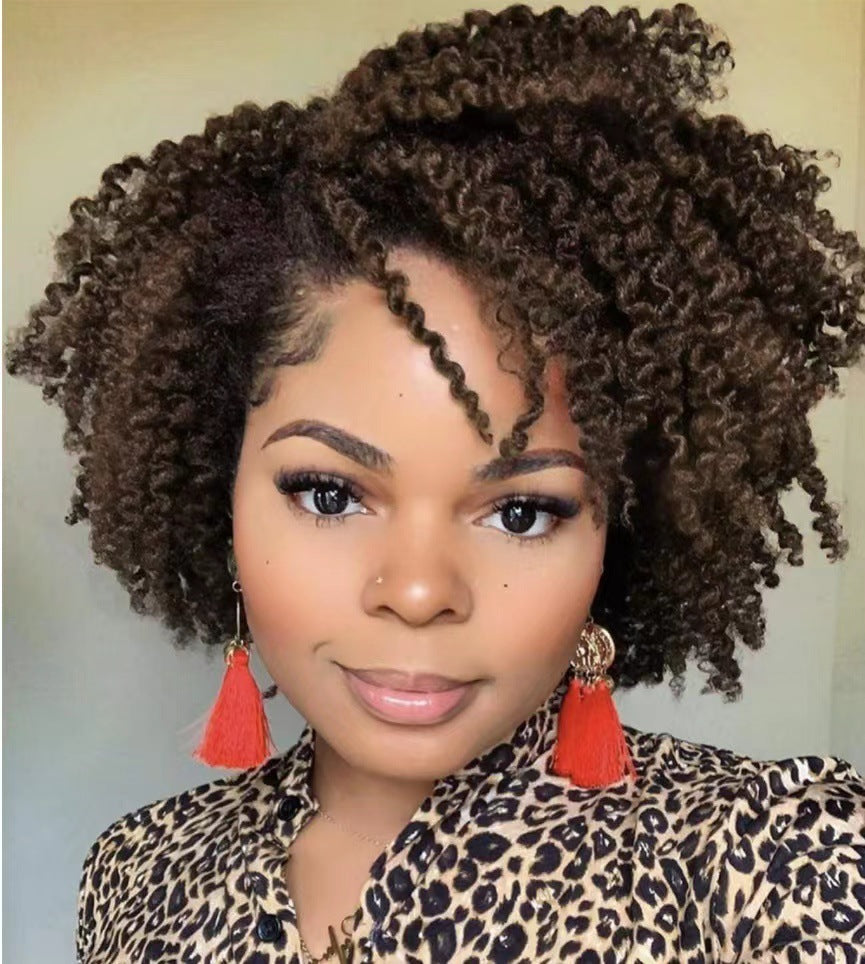 Short Curly Synthetic Wigs