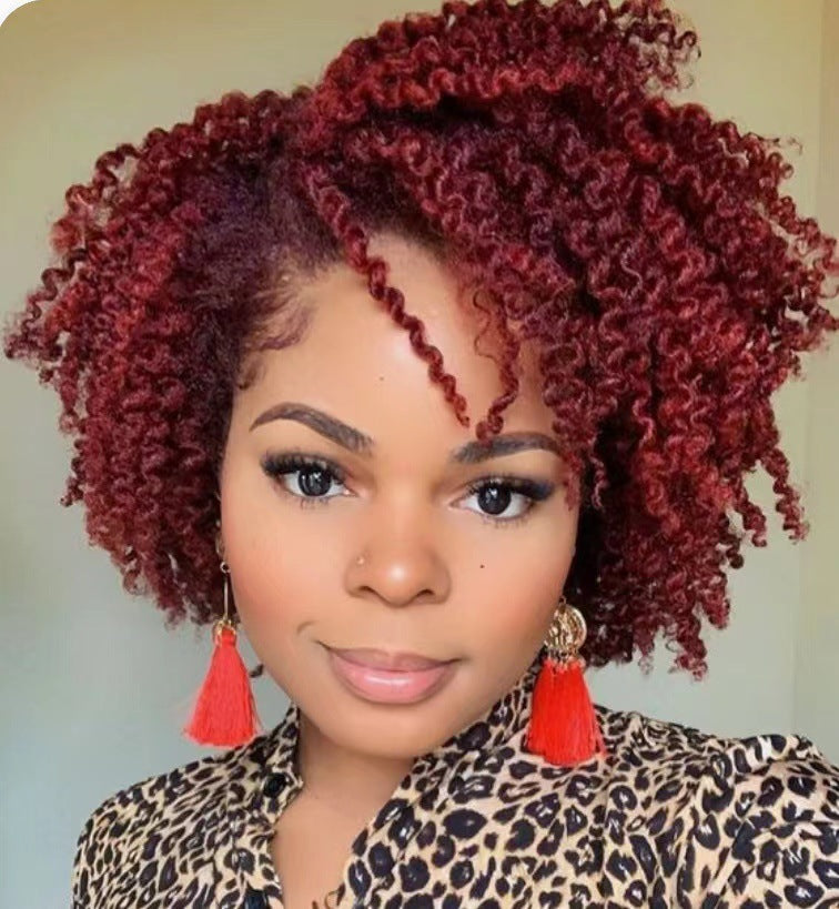 Short Curly Synthetic Wigs