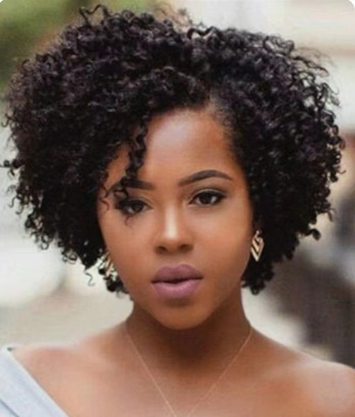 Short Curly Synthetic Wigs